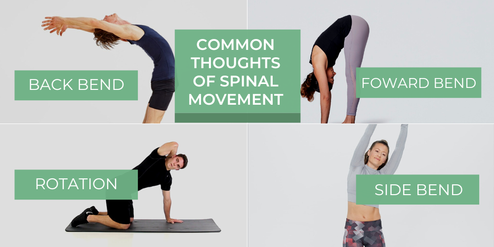 Common Spinal Movements