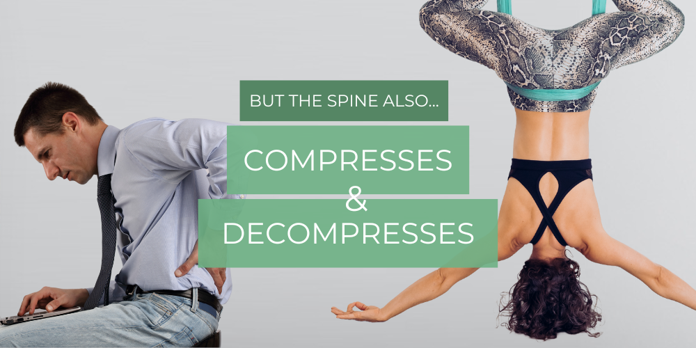 But the spine also compresses and decompresses